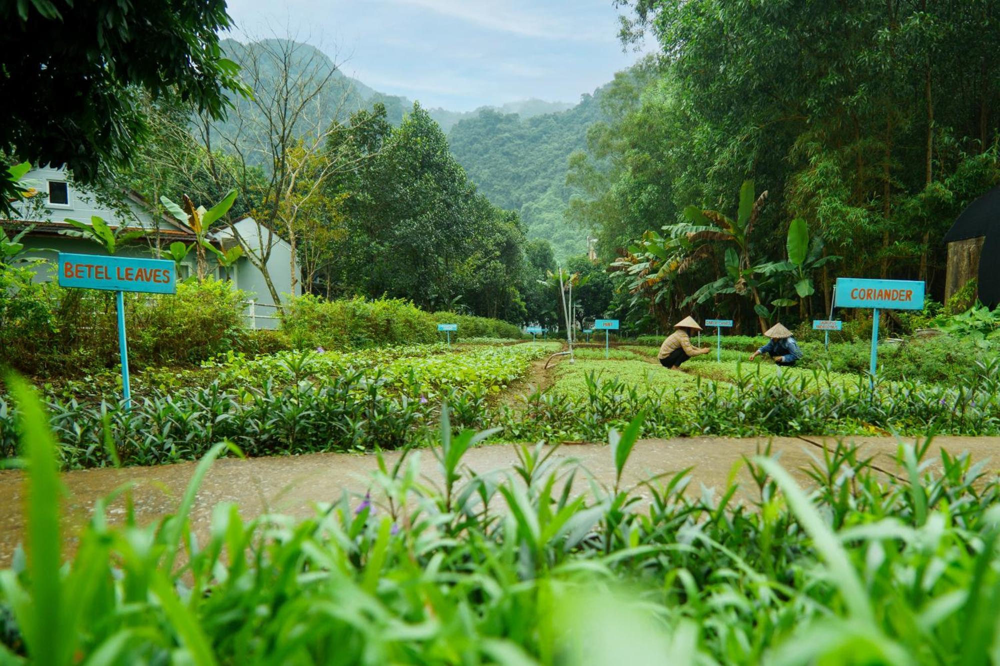 Chay Lap Farmstay Phong Nha Da Lon Exterior foto