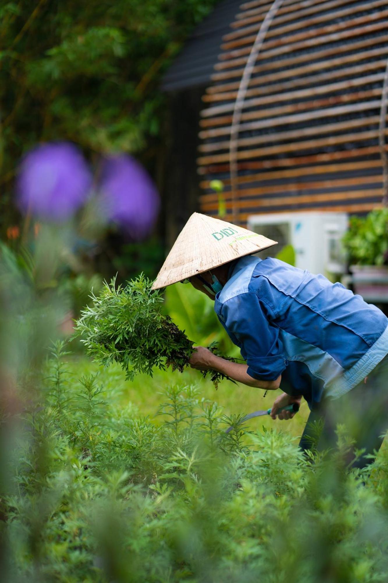 Chay Lap Farmstay Phong Nha Da Lon Exterior foto